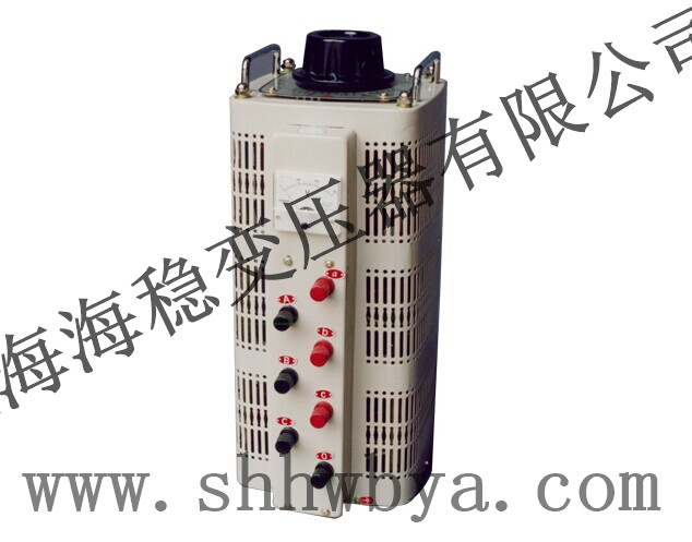 TSGC2-3KVA����Ӵ�ʽ��ѹ��